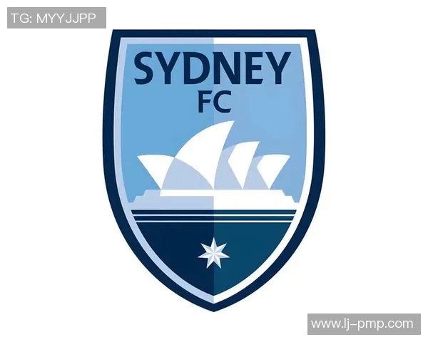 上海上港与悉尼FC对决前瞻分析及赛果预测