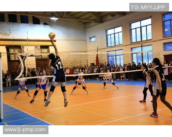 武汉排球队比赛经验的革新与热议引发的思考与启示 武汉排球队比赛经验的革新与热议引发的思考与启示