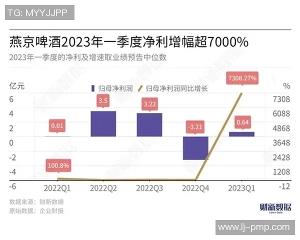 深入探讨北京网球队的力量表现与数据分析的关系及其影响因素
