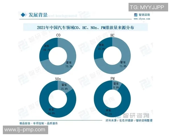 武汉极限运动队的技术探讨与发展现状分析 武汉极限运动队的技术探讨与发展现状分析